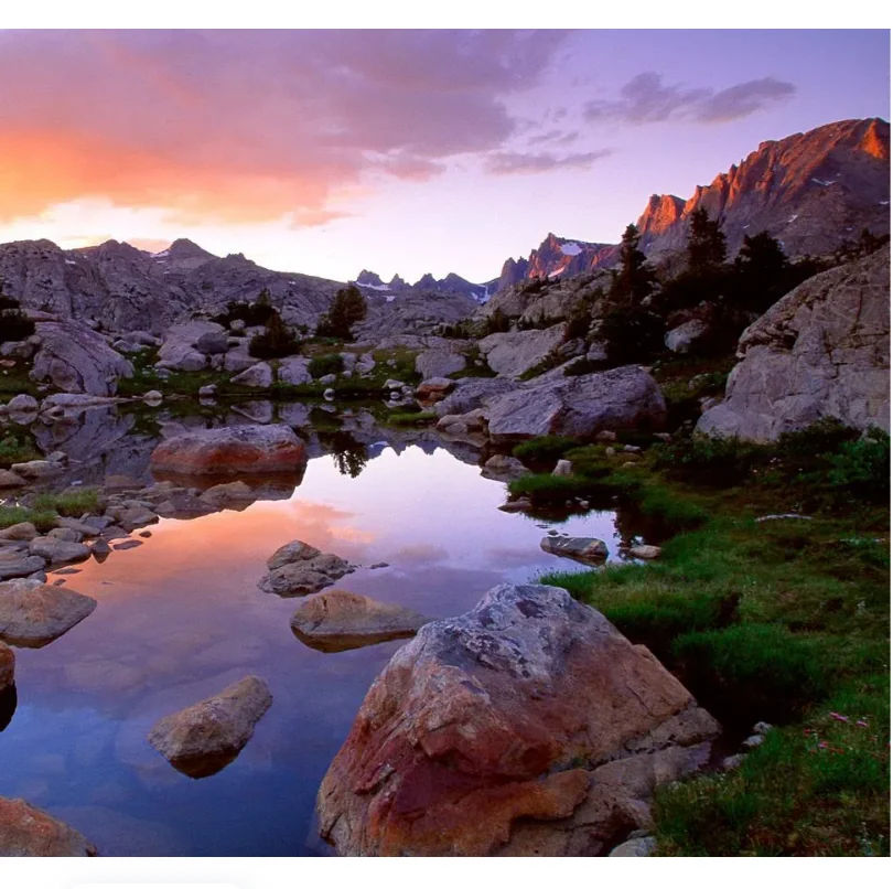 

001E 002E 1:14 Scale 4WD Brushless RC Car, 60KM/H High Speed Waterproof Off-Road All Terrain RTR Remote Control Vehicle