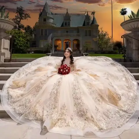 Anpassade Mexikanska Quinceañera-klänningar Champagnefärgade Spetsapplikationer Lyxig Födelsedagsklänning för Flickor Vestido De 15 Quinceañera Sweetheart 8 best sales champagnefärgade quinceanera-klänningar - №8
