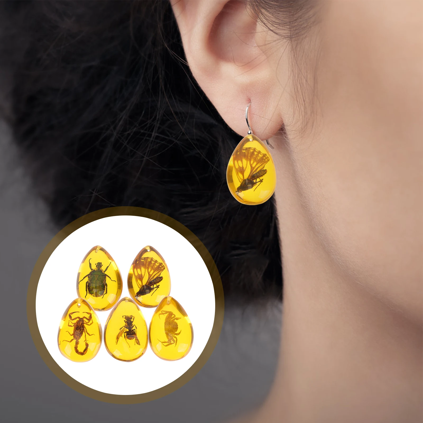 

5 Pcs Decoration Insect Specimen Amber Jewelry Crafts Specimens Scarab Stone Resin
