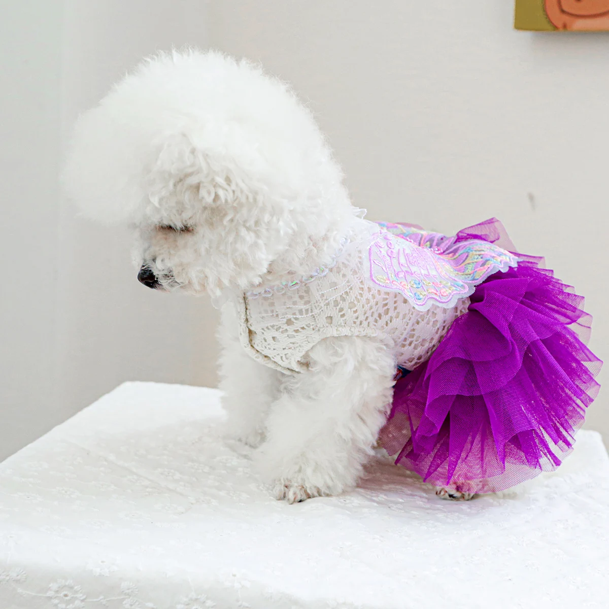 1PC Pet Clothing Spring and Autumn Purple Butterfly Fairy Wedding Dress Princess Dress Suitable for Small and Medium sized Dogs