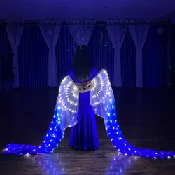 New LED Silk Fans Belly Dance 100% Real Chinese Silk Veils Party Show Costume 1 Pair Led Fans for Dance