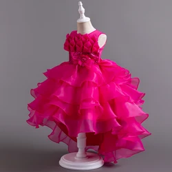 Girls Party Dress 4 Colors 110cm-160cm Kids Dresses Princess Cosplay Birthday Wedding Photograph Children Costumes Ball Gown