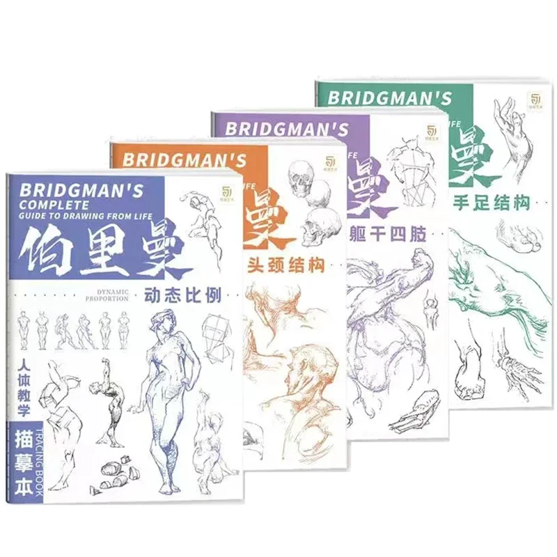 

Bridgman's Complete Guide To Drawing From Life Tracing Sketch Hand Painted Tutorial Book Copy Practice Line Draft Practice Books