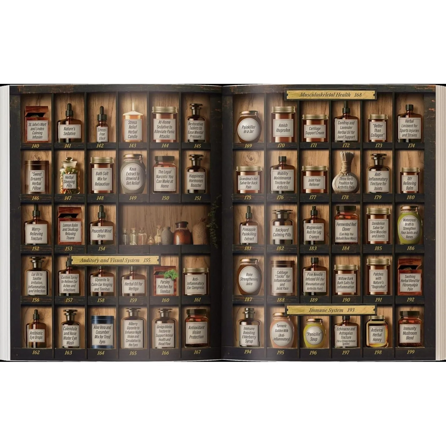 Forgotten Family Pharmacist _250 Powerful Remedies At Your Fingertips