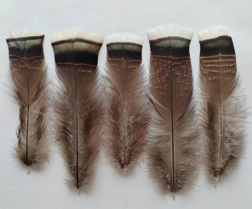 100Pieces 4-8inches 10-20cm Long Natural Wild Bronze Turkey Flats Feathers, Fly Tying, Smudging Craft