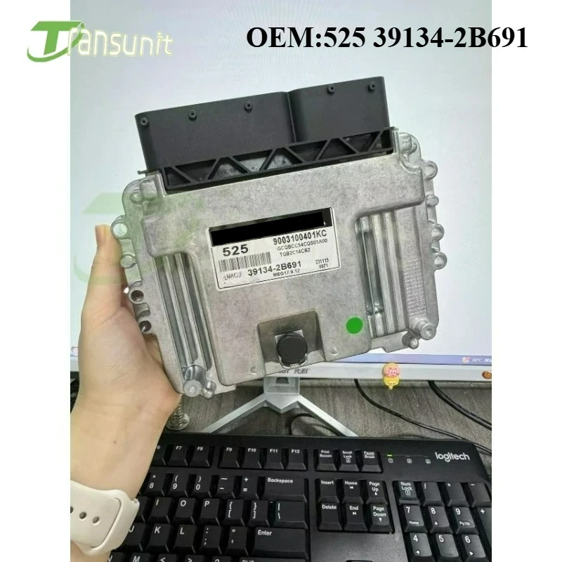 New 525 ECU 39134-2B691 391342B691 MEG17.9.12 Car Engine Computer Board Electronic Control Unit for KIA Hyundai ECM