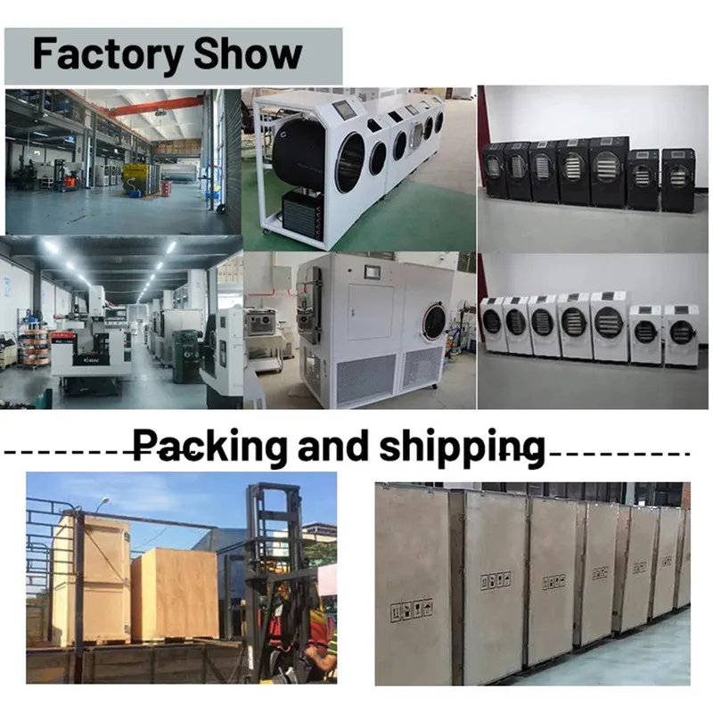 Best Price 4-6Kg 4 Trays Lyophilizer Sale For Oligopeptide Lyophilized Powder Freeze-Dried Mask - And Vacuum Freeze Dryer