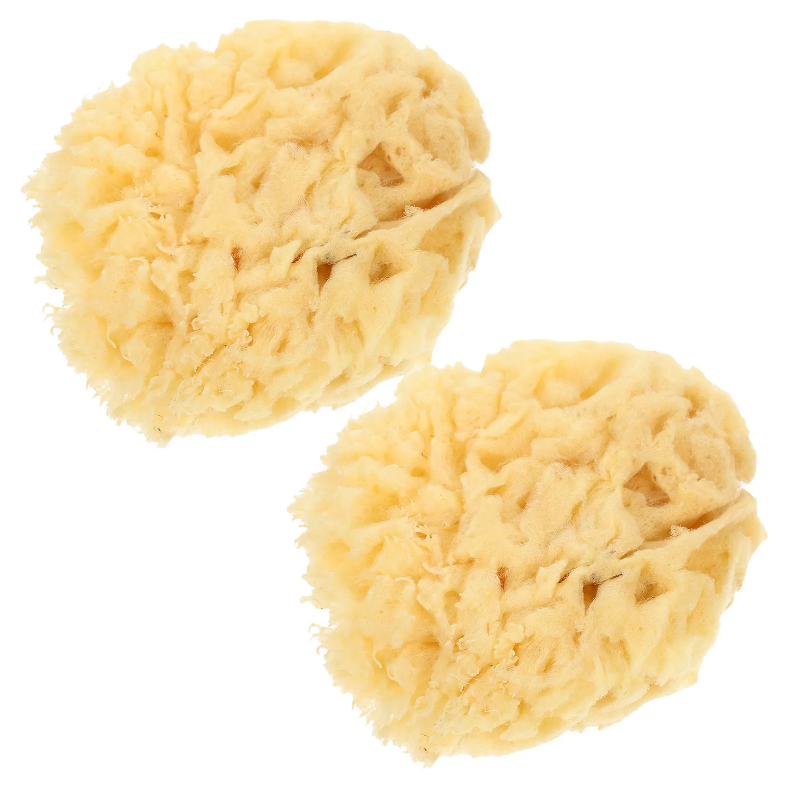 2Pcs Natural Sponges for Painting Sea Sponge Texture Art Artist DIY Home Decor Acrylic Watercolor Marbling Texturing Tool