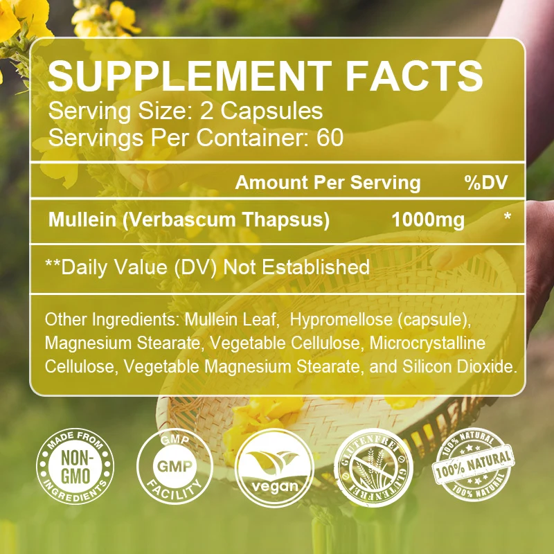 Mullein Capsules - Supports Healthy Respiratory Function and Mucous Membranes and Promotes Lung Cleansing