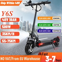 Y6S Y6S Electric Electric 500W nominal 800W Max 48V 18Ah working tire 10 inch shock Absorption