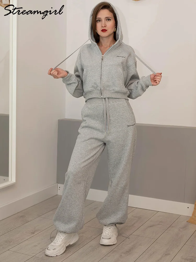 النساء رياضية الشتاء الصوف Sweatsuit البني الدافئة المحاصيل سستة هوديس و Sweatpants مجموعة للنساء 2 قطعة المخملية السراويل مجموعات