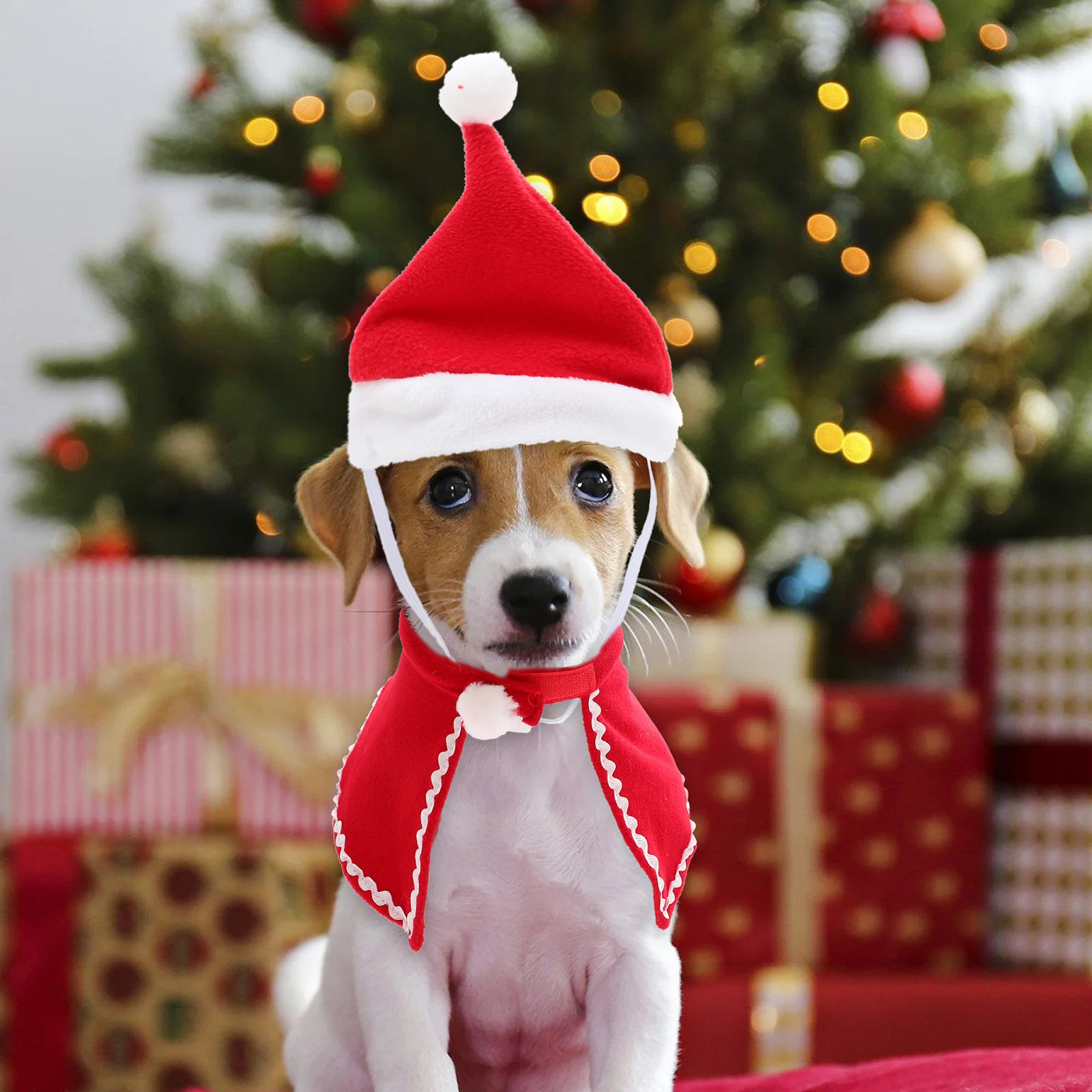 

1Set Pet Decorative Scarf Antler Headband Cat Costume Dog Outfit Set Xmas Pet Accessories Reusable Cat Cape Festival