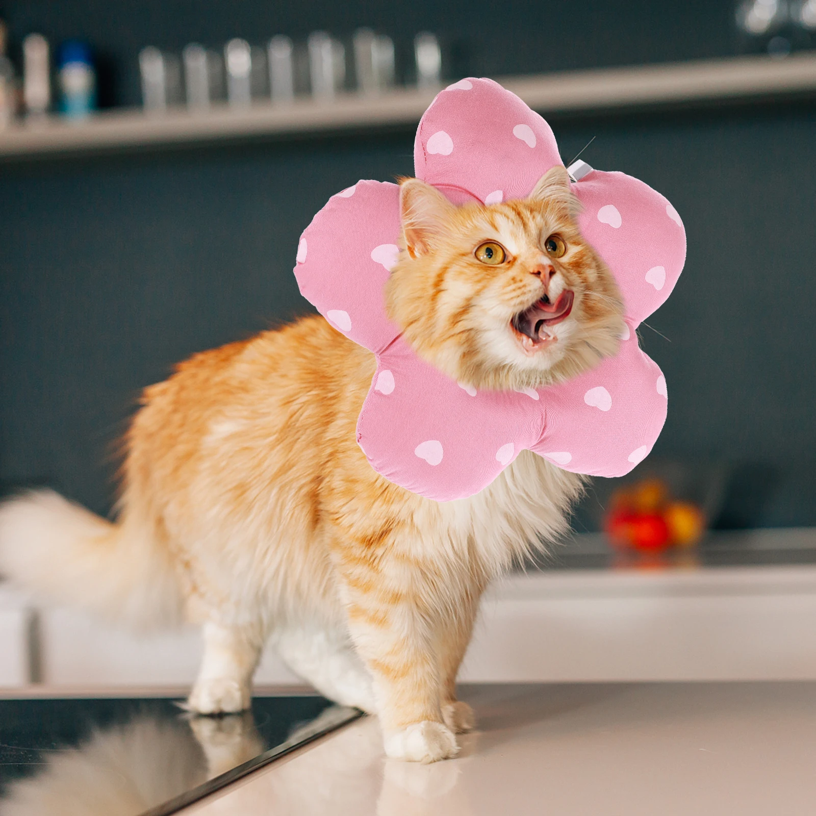 

Adorable Cat Recovery Collar Elizabethan Cone For Surgery Wounds Comfortable Pet Healing Collar Dog Accessories Pet Cone