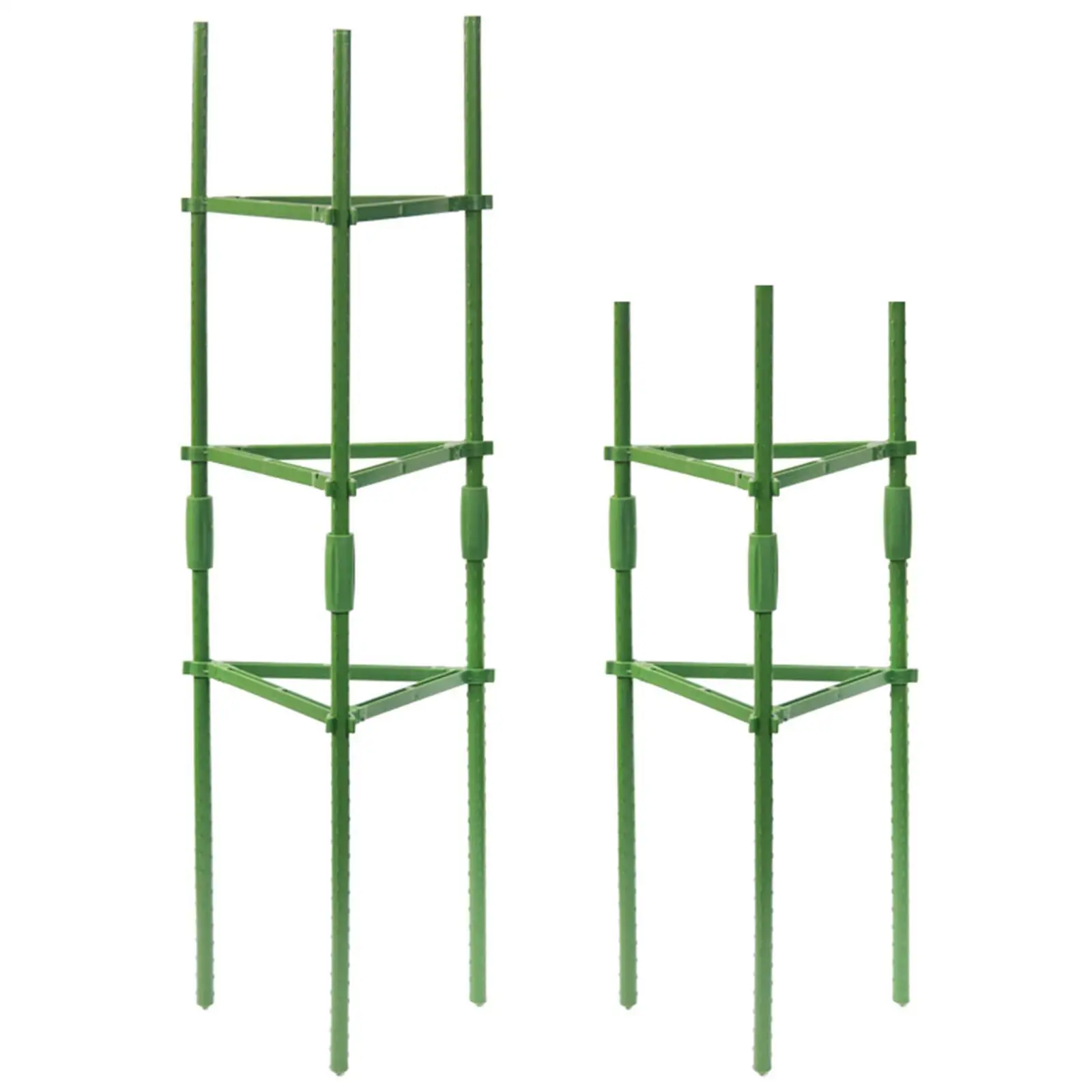 La pianta della gabbia del pomodoro supporta la torre di supporto della pianta rampicante verde dei pali del giardino