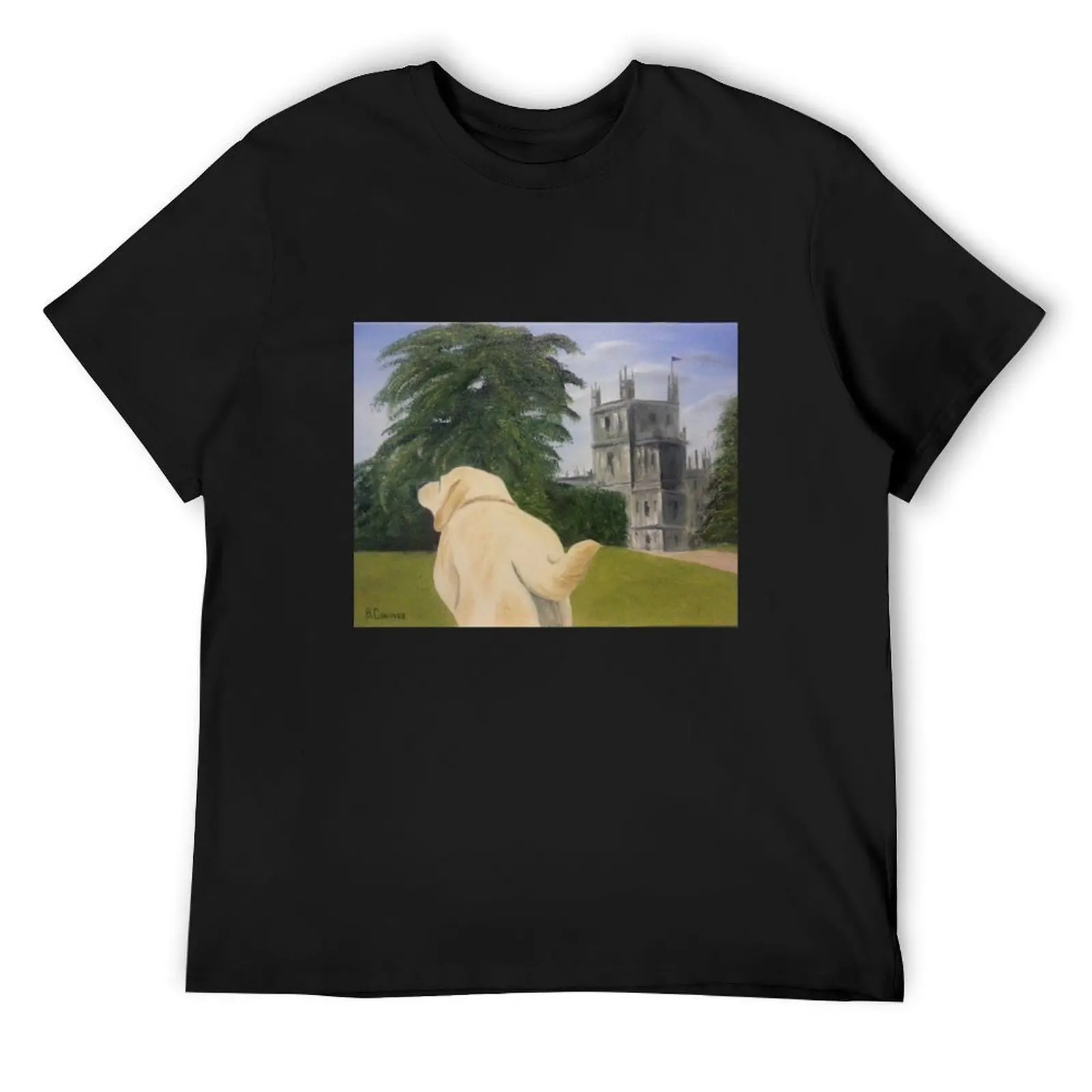 Downton Abbeys beloved Isis and the Abbey T-Shirt oversized t shirt tees shirts graphic tees plain white t shirts men