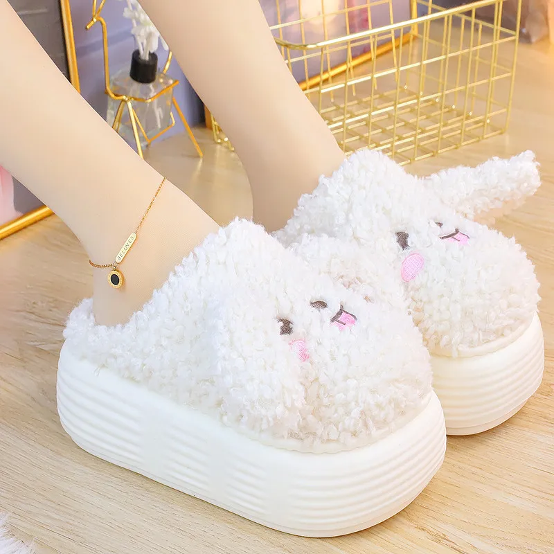 Women\'s Shoes Winter High-heeled Thick-soled Cotton Slippers Women\'s Bag And Slippers Winter Warm Cute Dog Fur Shoes Indoor