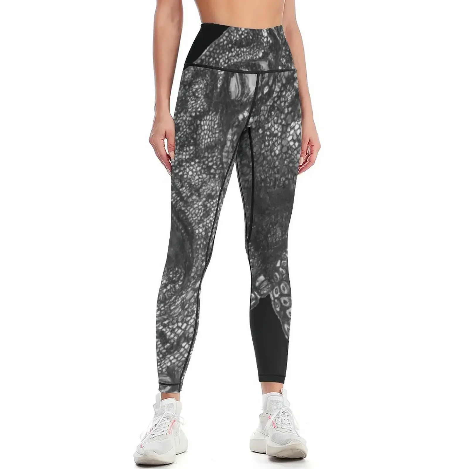 

Paul the Octopus Leggings Women sportwear for girls Legging sport Training pants Womens Leggings