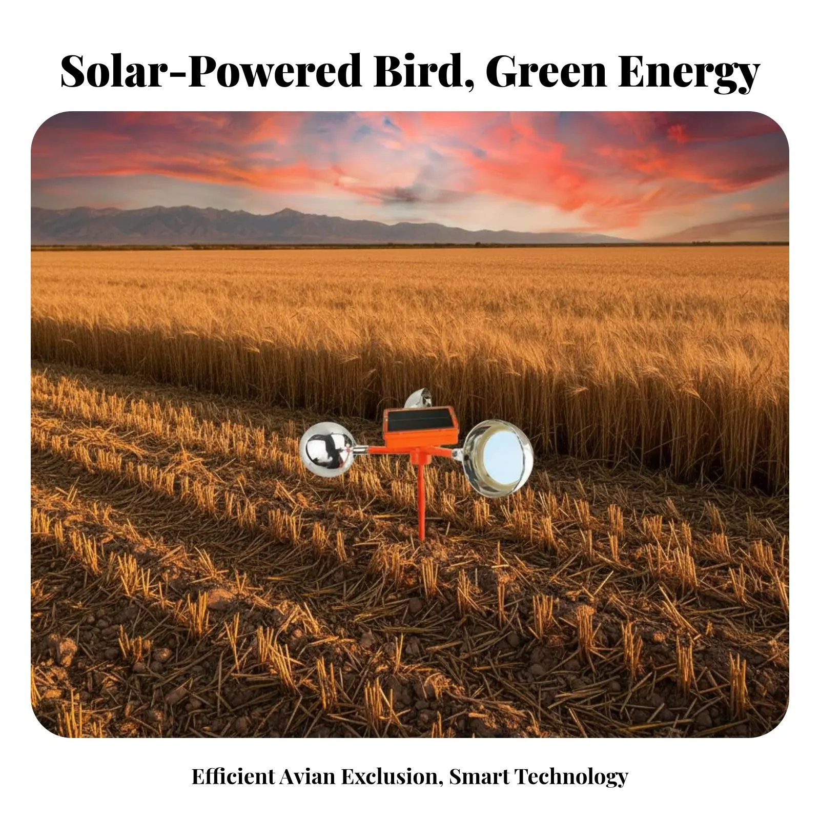 Espantapájaros solar giratorio 360º con función automática y luz - imagen 4