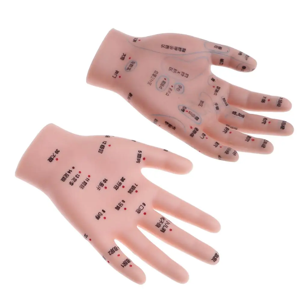 2x Anatomical Professional Acupuncture Hands Acupoint Model Teaching