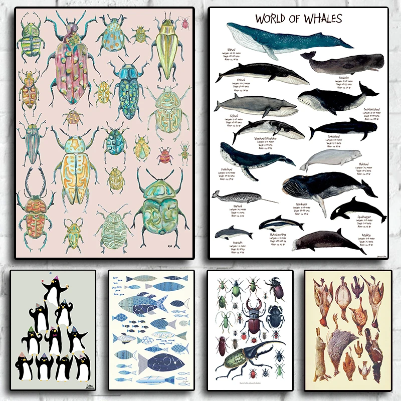 Pop Colorful Animals Fish Poster Aesthetic Fish Species Illustration Sketch Canvas Print for Wall Art Home Decoration Room De