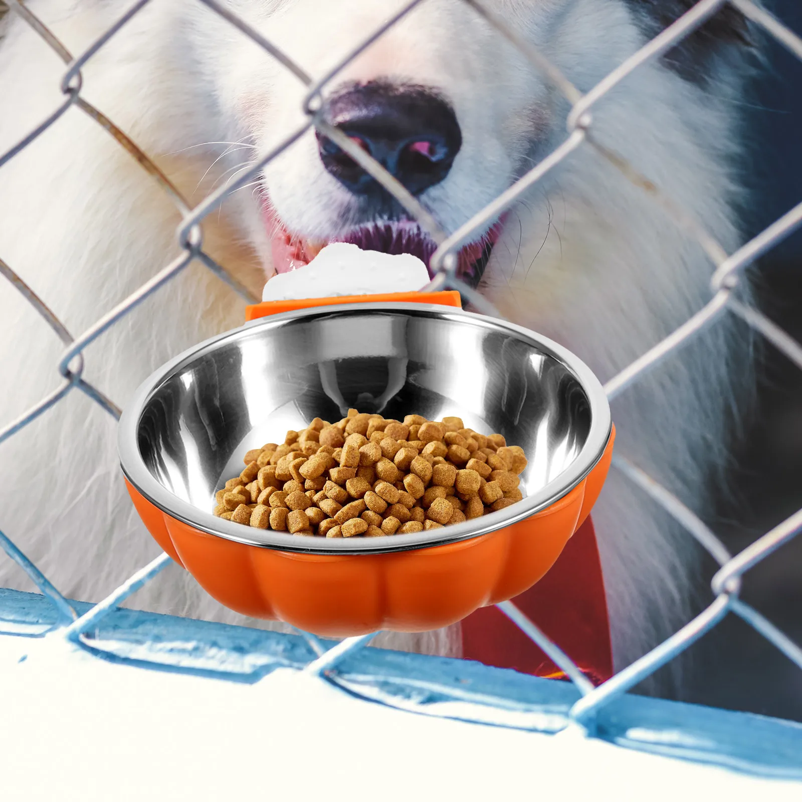 

Hanging Pet Bowl Pumpkin Design Stainless Steel Cat Feeder Dog Dishes Crate Bowl Small Food Bowls Bite Resistant Safe for Pets