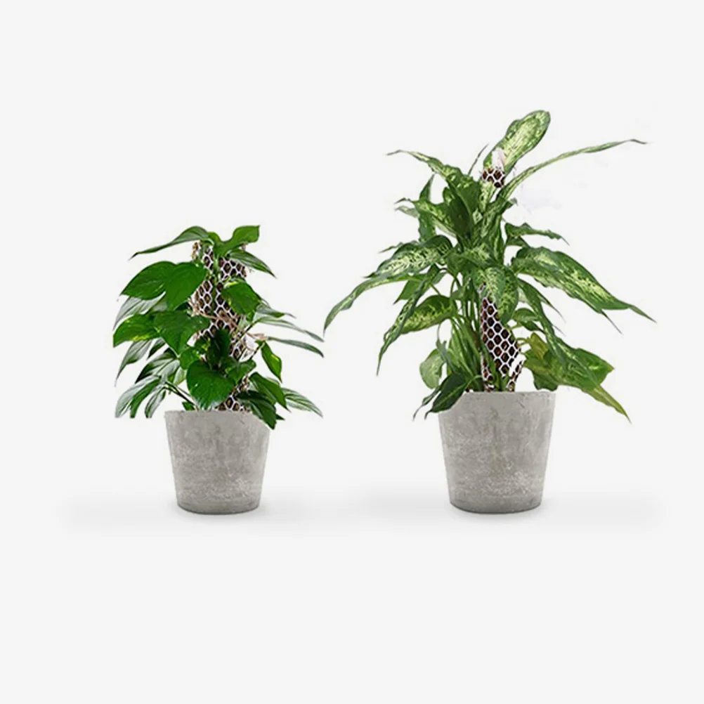 1 مجموعة 1 مجموعة شبكة تسلق النباتات لحديقة دعم القطب الطحلب شبكة حبل بلاستيكي الكرمة أداة التدريب بوعاء نباتات داخلية وخارجية #3