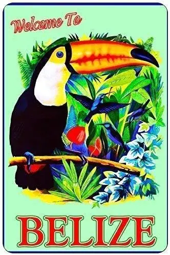 1c,Vintage Art Metal Sign Welcome to Belize Parrot Tin Sign for Art Printing Posters for Bars and Cafes es