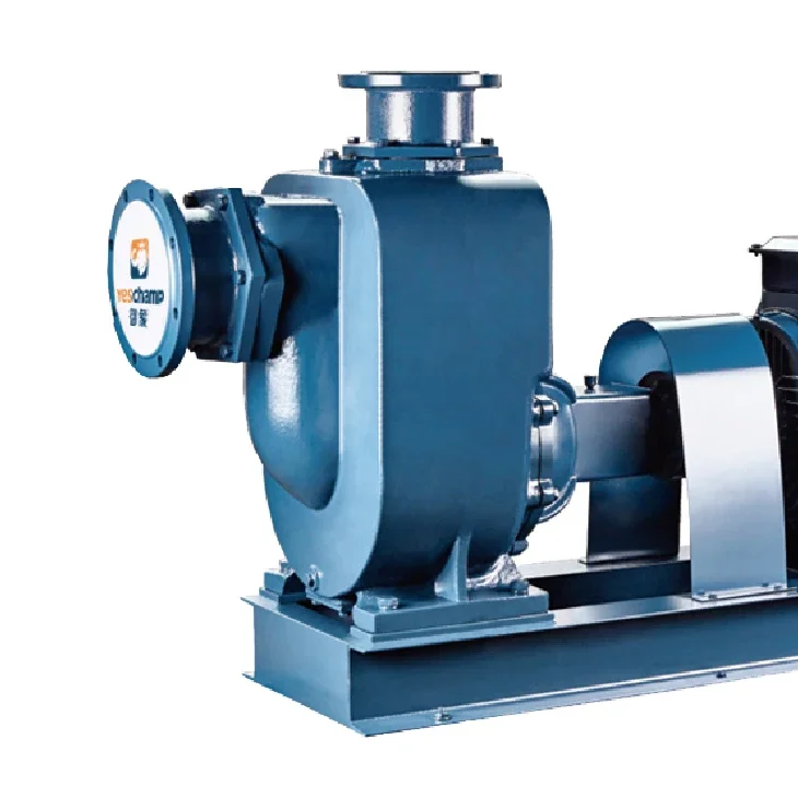 Good Self-Priming performance Swage Centrifugal Pump