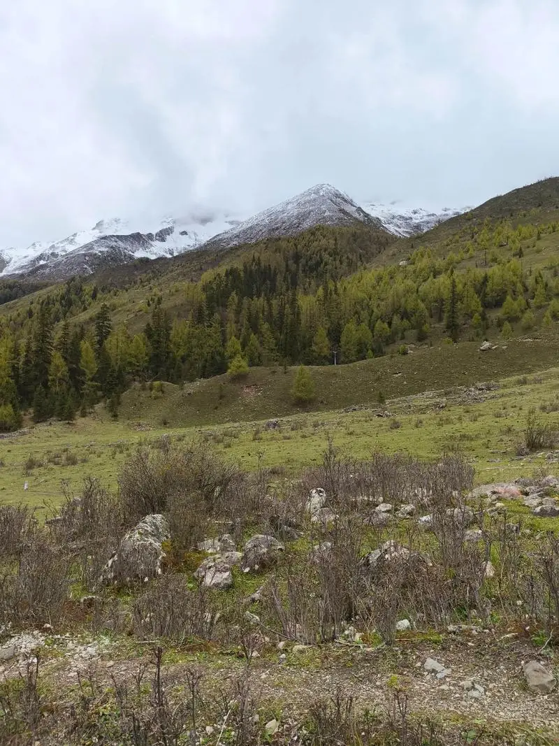 

100ml Crystal Art Vintage Style Empty Refillable Perfume Atomizer Long Tassel Spray Bitter Bottle With Air Bag Barwares