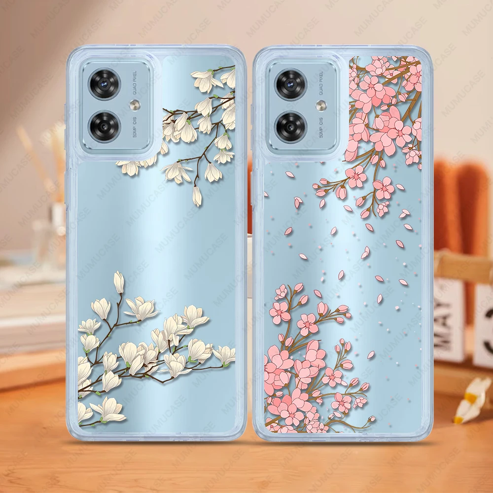 Flowers And Plants …