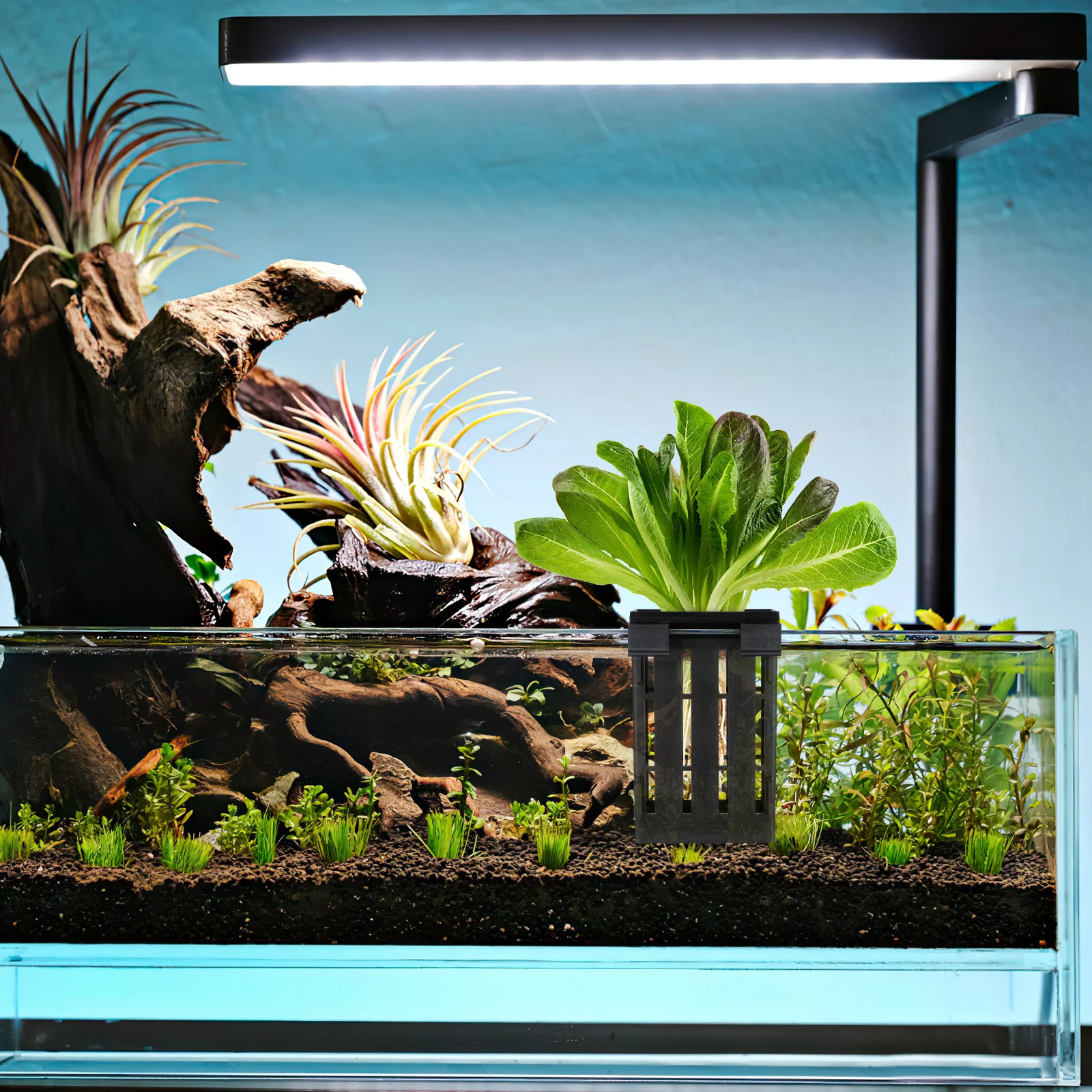 

4pcs Aquarium Plant Holder Plastic Aquatic Planting Baskets With Holes For Fish Tank Aquarium Supplies Decor Kitchen Facilities