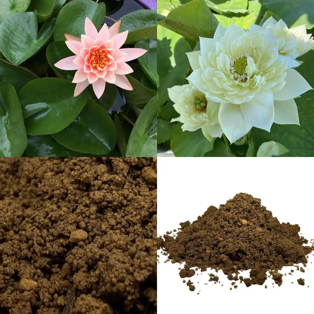 

Nutrient-Rich Aquatic Soil for Water Lilies, Lotus, and Pond Plants - 16 Quarts