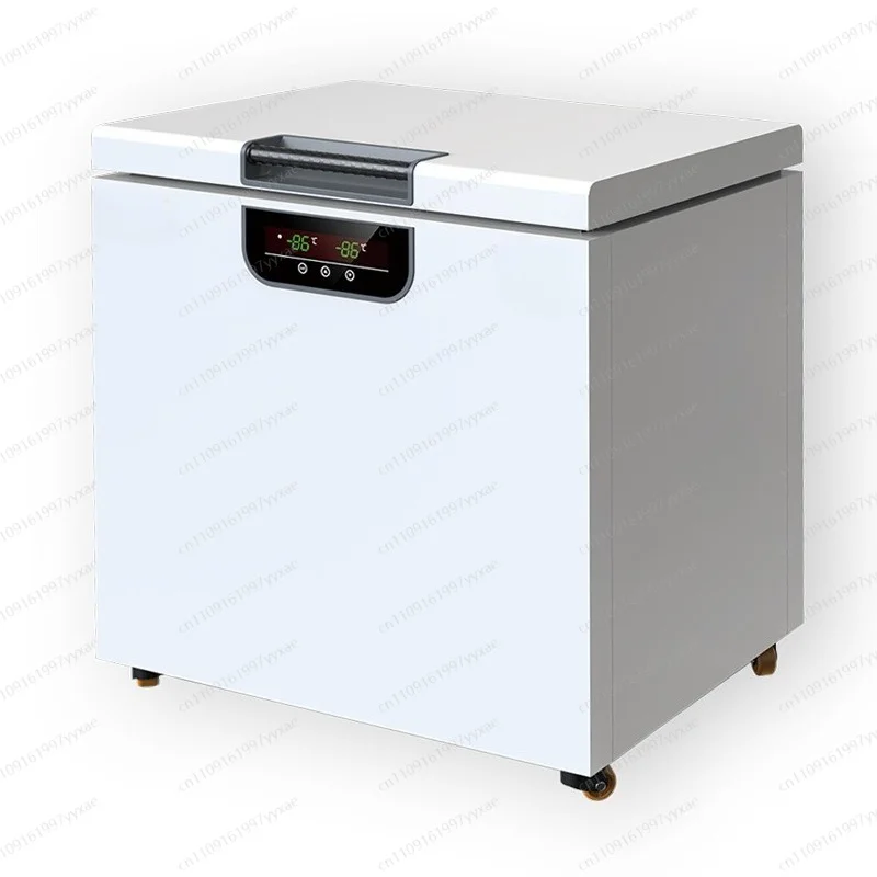 minus 60 degrees small household low temperature freezer, seafood low temperature storage cabinet