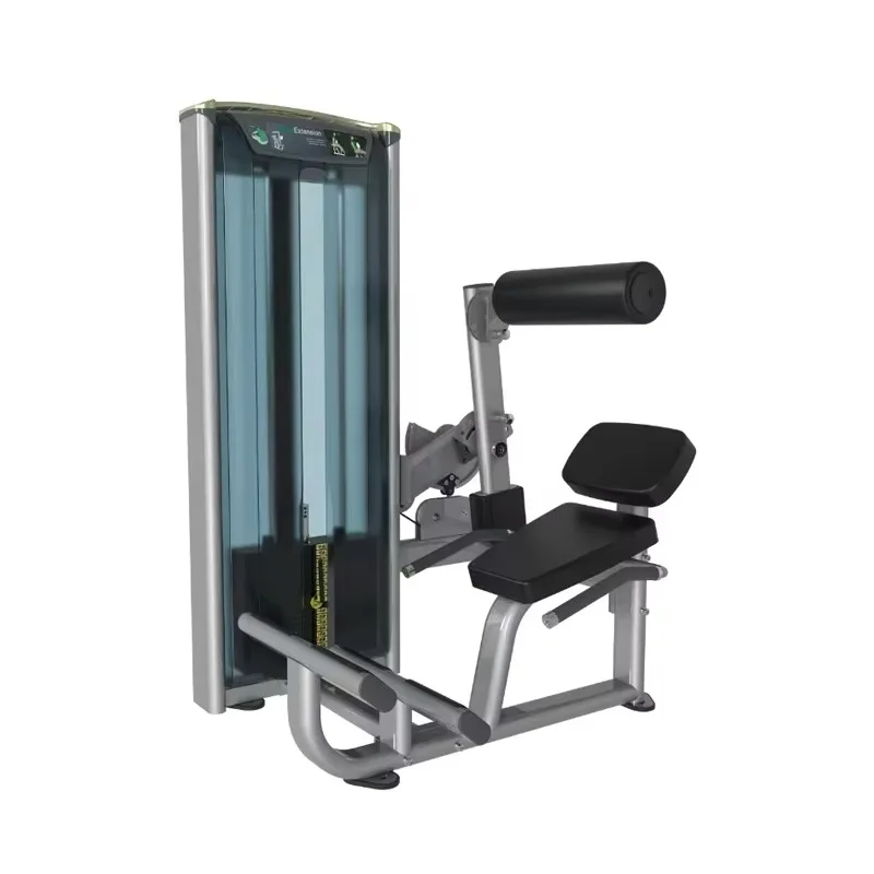 YTYIN China Multi Functional Fitness Equipment Lower Back Extension Pin Loaded Gym Exercise Abdominal Crunch Machine For Bodybui
