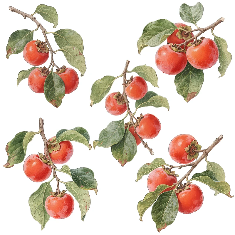 Three Ratels CFN128 Mature persimmon branches in autumn Wall stickers for home decoration fruit shop window decals