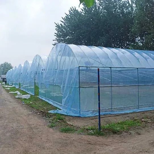 2025Commercial Farming Plastic Green House Metal Frame Structure Single Span High Tunnel Agriculture Greenhouse