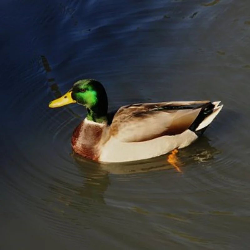 

370 Power 2-скоростная коробка передач с заменой металлической шестерни для WPL B14 B16 B24 C14 D90 MN99S 1/16 запасные части для радиоуправляемых автомобилей