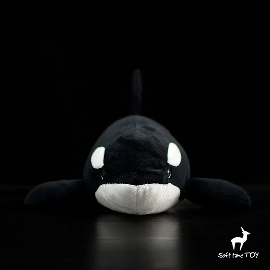 Killer Whale Alta Fedeltà Anime Carino Peluche Orcinus Orca Peluche Animali Realistici Simulazione Bambola di Pezza Kawai Giocattolo Regali