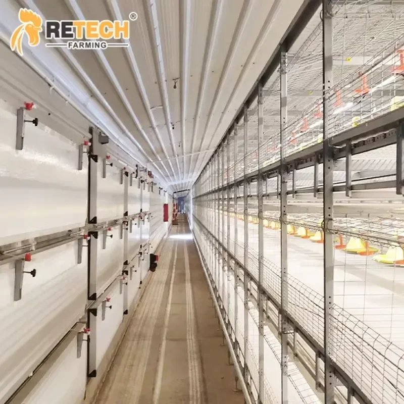Large Scale Poultry Farming Shed Hot-Dip Galvanized H-Type Automatic Harvesting System Battery Cages for Broiler Chickens