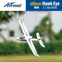 Blue Arrow Model 600mm entry-level training aircraft Hawk Eye hand thrown aircraft belly landing remote control electric model a