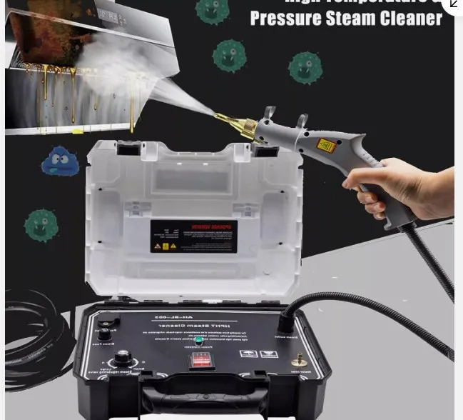

Handheld Portable Steam Cleaner Kitchen High Temperature Pressurized Steam Cleaning Machine Tankless and Heavy Duty Steamer