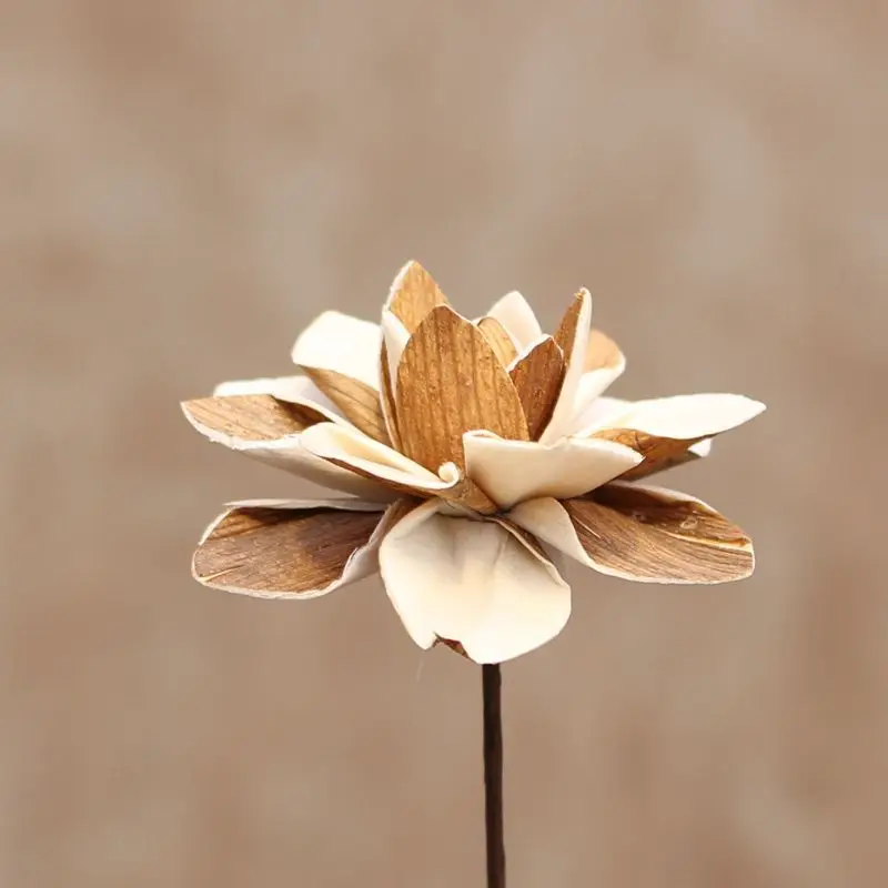 3PCS 50cm Little lotus Natural Dried Flower Buds Preserved Flowers Arrangement Home Wedding Decoration