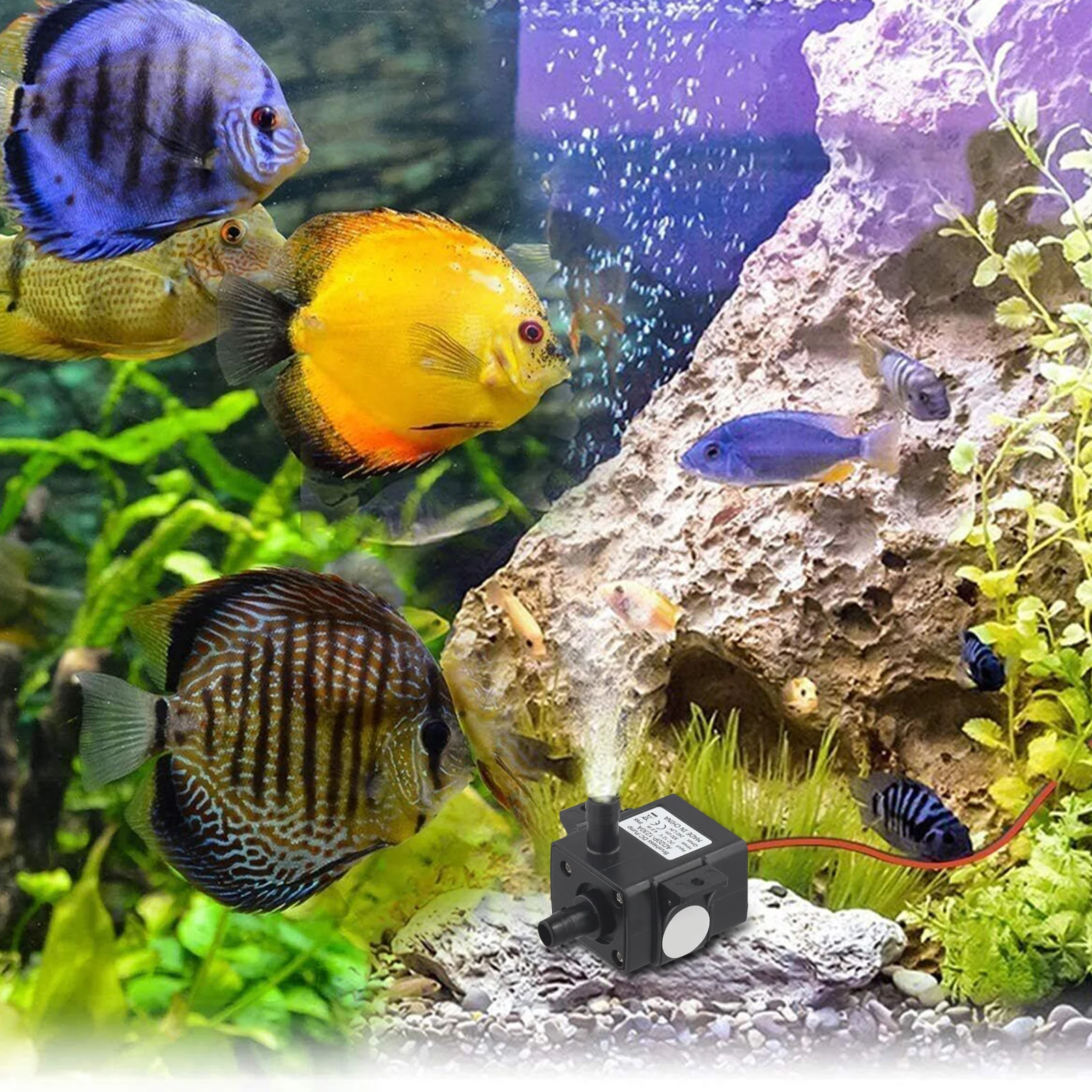 ブラケットウォーターポンプ自吸ポンプインテリジェント低ノイズ低消費 12V 5W 240L/H RV キャラバン電子回路