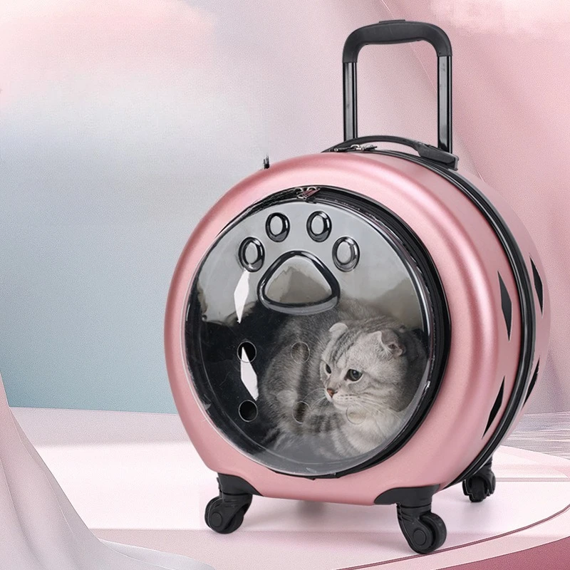 Transparent Reinforced Por PC Cat Backpack Pet Cer Cat Transport Cer Small Animal Trolley Case For Outdoor Travel