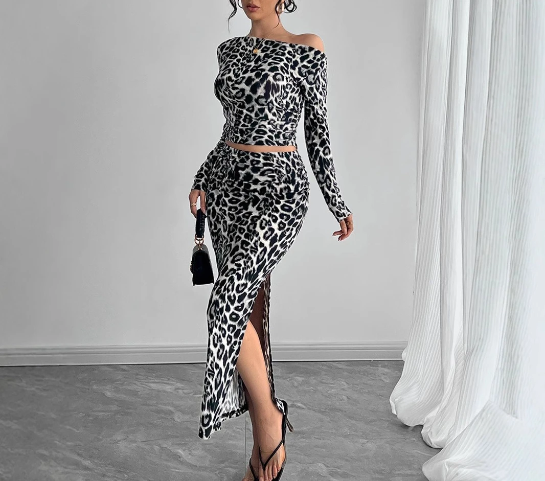 

Sensual Leopard Print Two-piece Long Dress Set, Leopard Print Long Dress, 2025 New Women's Style 2 Piece Sets Womens Outfits