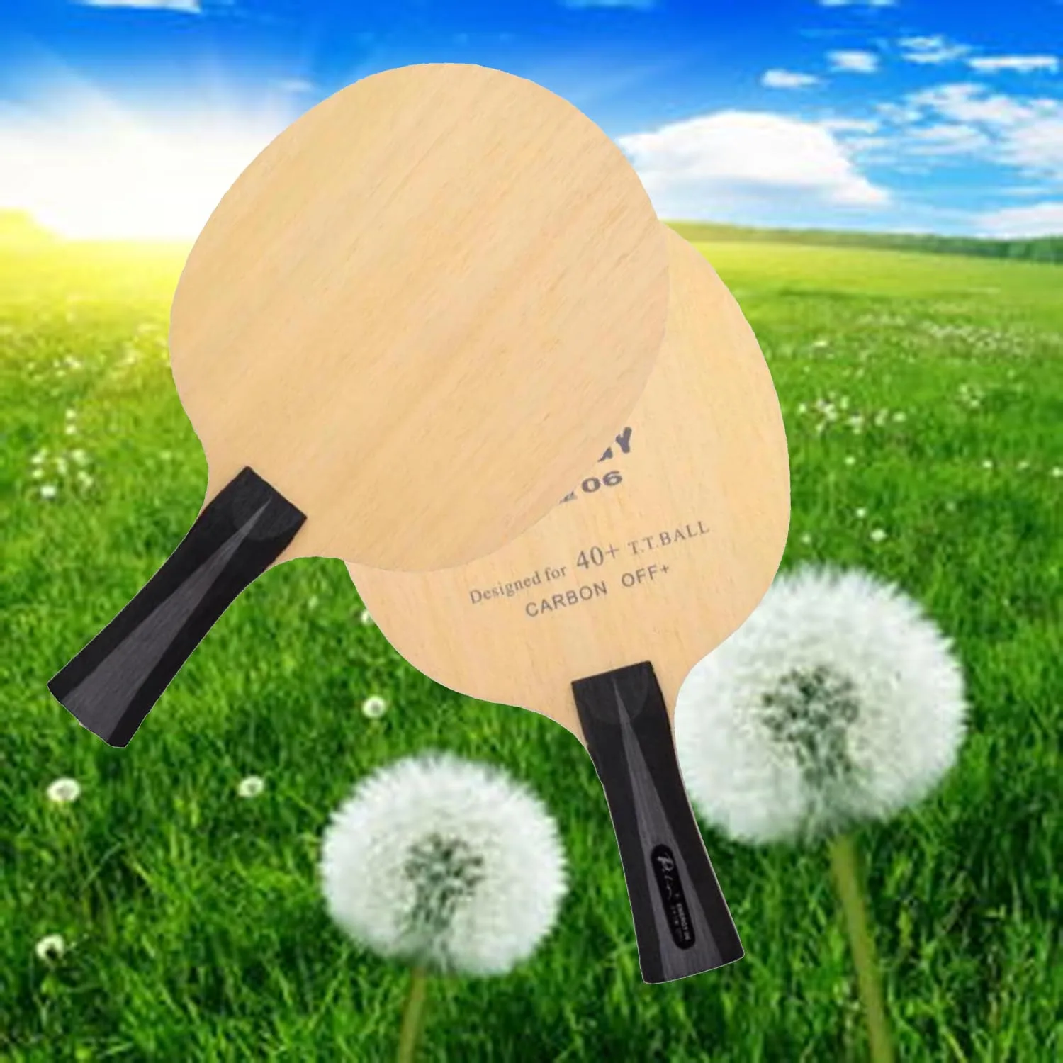 

Лезвие для настольного тенниса Palio Energy 06, специальное для 40+ новых материалов, ракетка для настольного тенниса, игровая петля для быстрой атаки, карбоновое лезвие Energy06