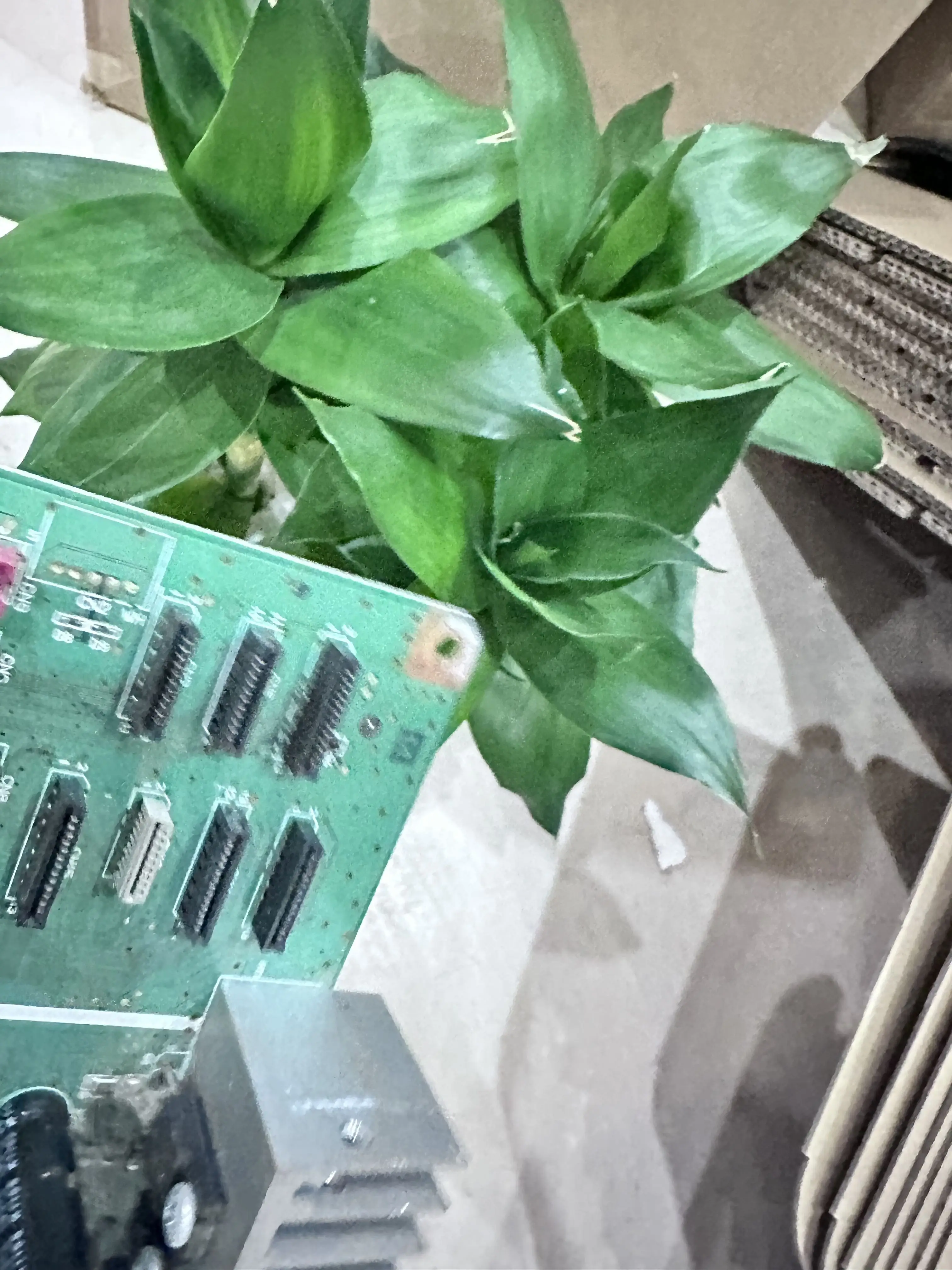 C655 Main. Epson R1… - image