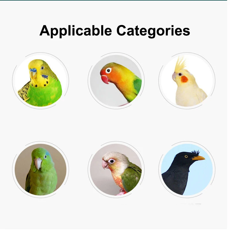 Parrot toy, amusement balancing vehicle, small-sized bird supplies, sliding wheel skateboard, skill training equipment