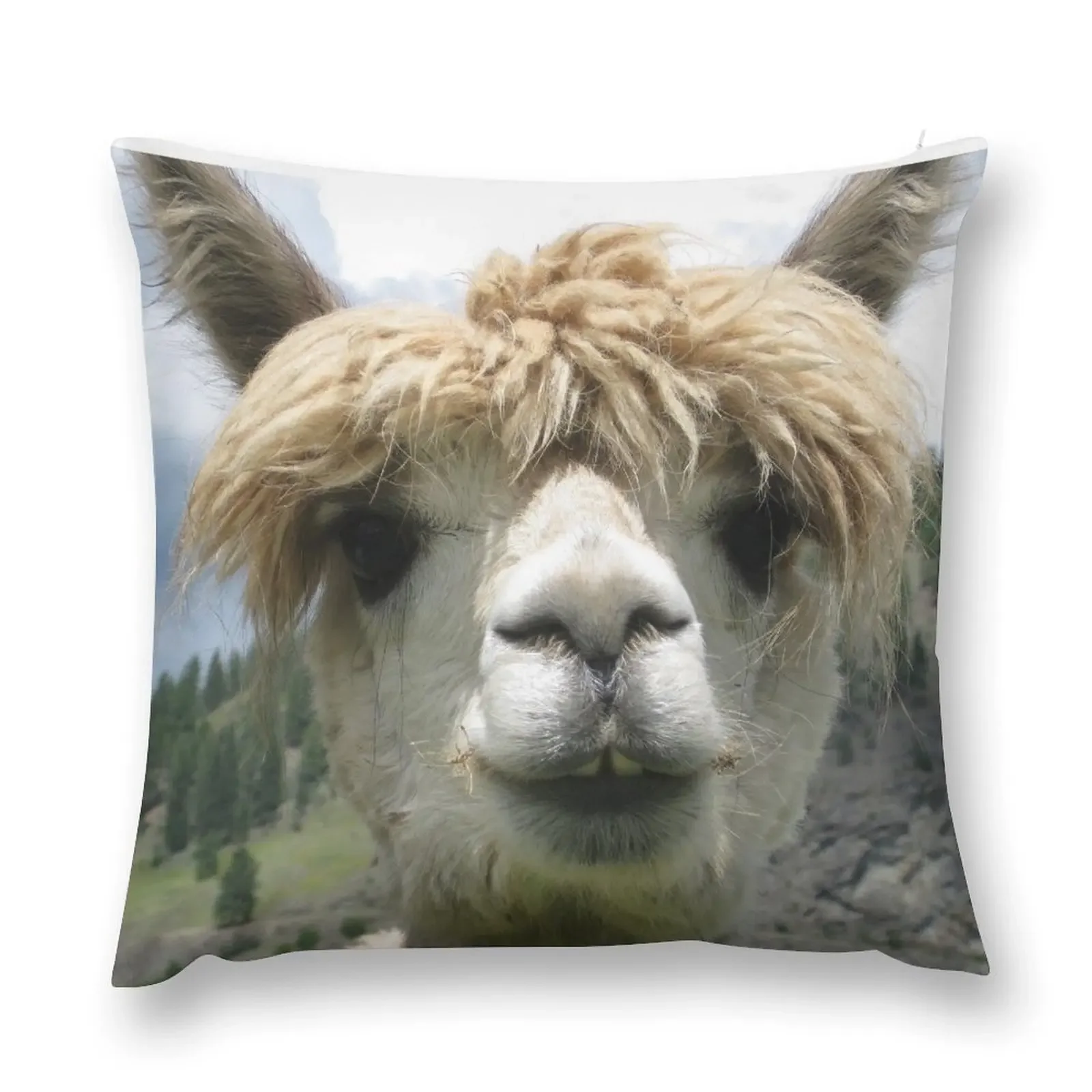 Alpaca Print Sticker T Shirt For Kids Men Women Real Realistic Photo Notebook Mugs Travel Cup Travel Mug Pillow Gra Throw Pillow