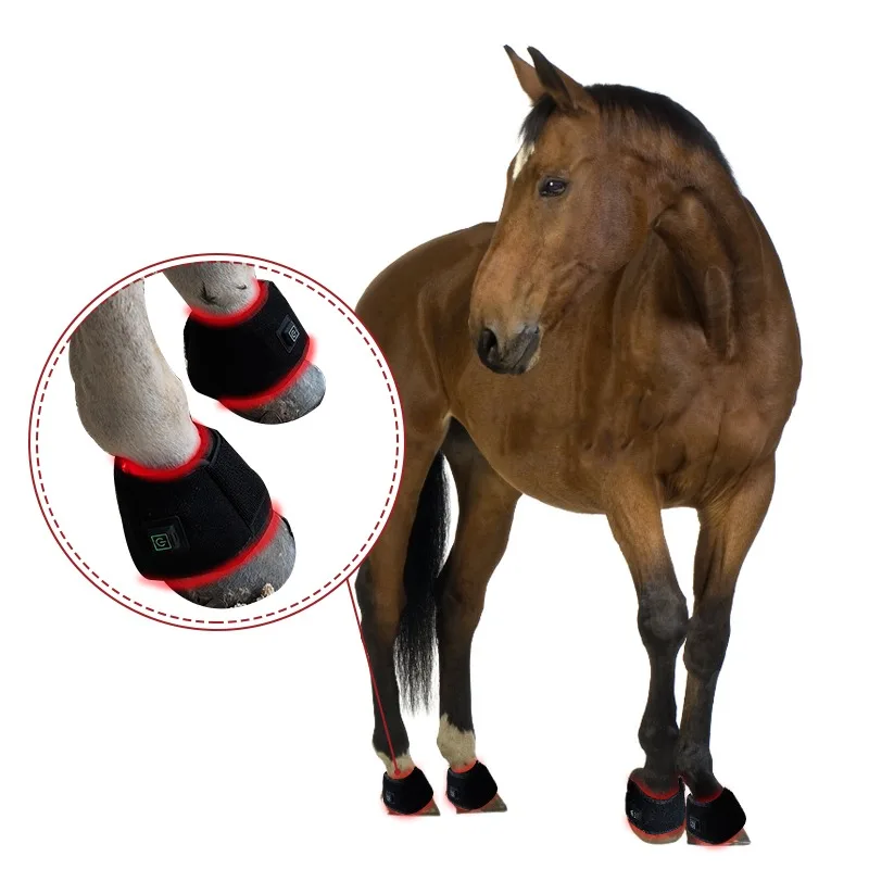 

Red Light Therapy Wrap Horse Medical Red Light Therapy Horse